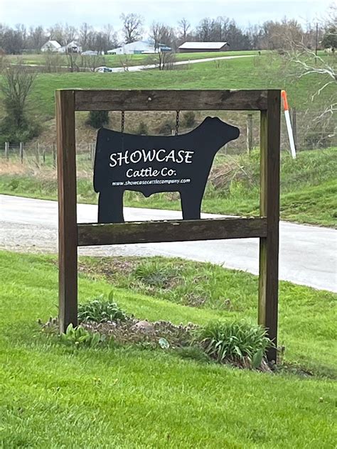 ohio jackpot cattle shows,These shows provide an e