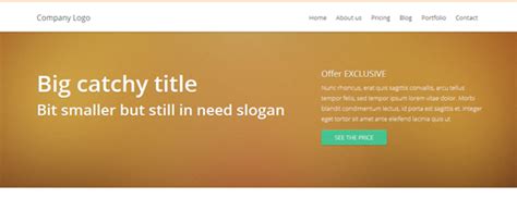 Collection Of Free Responsive HTML & CSS Website Templates - iDevie