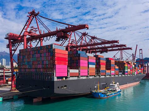 Uncertain waters - China’s exports continue to defy expectations but ...