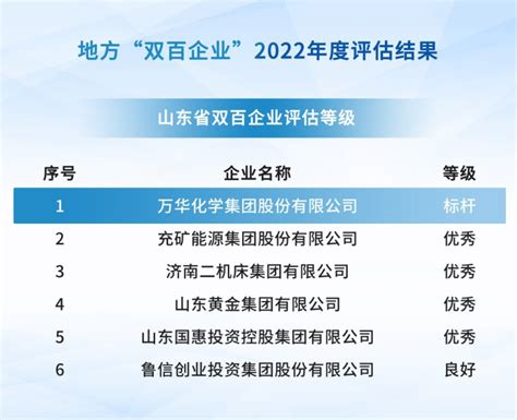 荣誉｜万华化学获评2022年度“双百企业”标杆称号-中国涂料工业协会官网