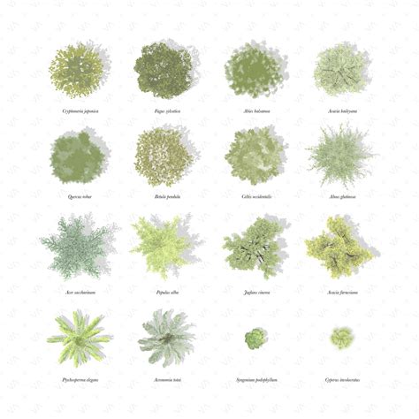 Mega Pack Brushes and Vector Plan Vegetation + Shadows | Tree with ...