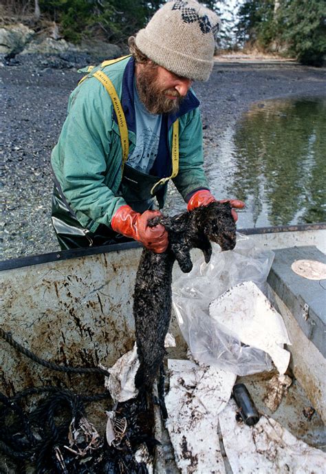 Exxon Oil Spill Animals