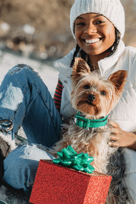 21 Unique Dog Walker Christmas Gift Ideas They'll Love - Basically Dogs