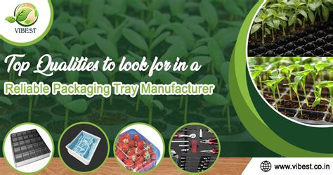 Vibest International Pvt. Ltd.