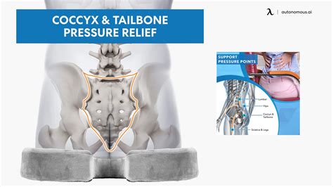 Tailbone Pain From Sitting at Desk: How to Fix It?