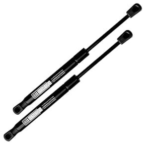 Beneges 2PCs Rear Trunk Lift Supports Compatible with 2008-2016 Dodge ...