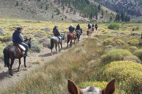 Bariloche Andes Horseback Riding Tour with Argentine Asado 2021