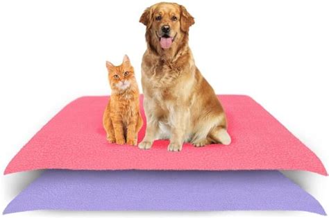 Dog Mats - Buy Dog Mats Online at Best Prices In India | Flipkart.com