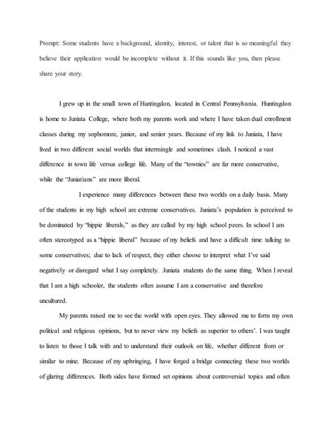 Image result for Common Application Essay Examples