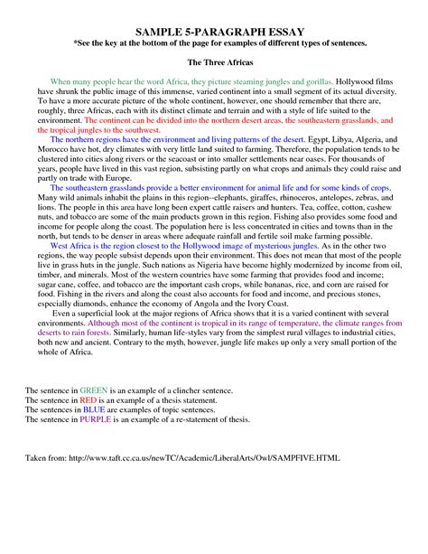 Image result for 5 Paragraph Essay Example