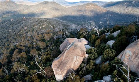 Australia Language Map 的图像结果