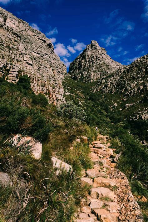 Hike Table Mountain & Lion’s Head for scenic views of Cape Town | tobinka