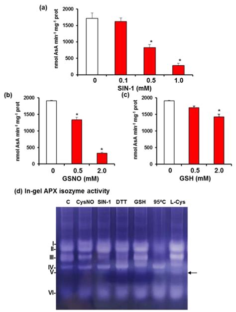 Nitric Oxide (NO) Differentially Modulates the Ascorbate Peroxidase ...