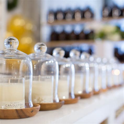 CANDLEFISH (2026) All You Need to Know BEFORE You Go (with Photos ...