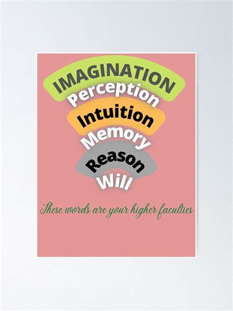Intuition 的图像结果