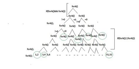 Fork System Call 的图像结果