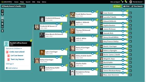 Image result for Sharing Ancestry Tree
