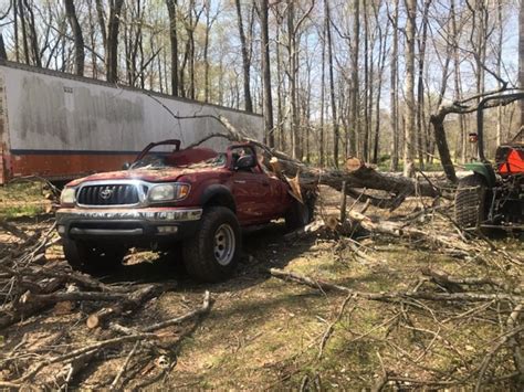 Man injured when tree falls on truck in Alvaton community