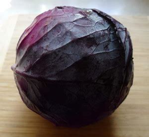 ActrovaX Red Acre Cabbage Vegetable [250 Seeds] Seed Price in India ...
