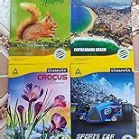 Classmate Notebook - Single Line, 172 Pages, 240 mm x 180 mm - Pack Of ...
