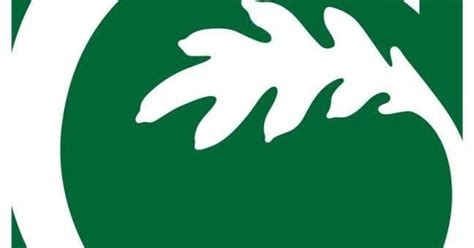 Greensboro trash pickup delayed; here's the revised schedule