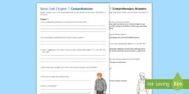 'Stone Cold' Chapter 3 Comprehension Worksheet / Worksheet