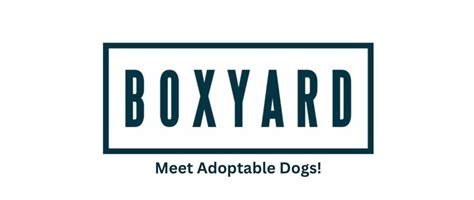 Meet Adoptable Dogs at Boxyard!, The Boxyard Tucson, February 18 2024 ...