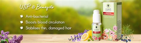 Buy Organic Harvest Hair Oil For Hair Strengthen and Hair Growth ...