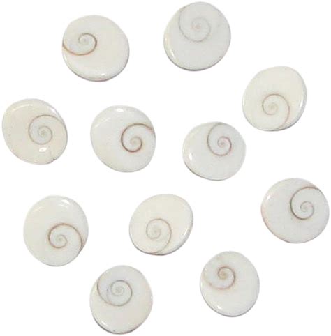 Bakthi Today Gomathi Chakras Set of Eleven - A1656-B11 : Amazon.in ...