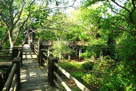 FOREST ROCK GARDEN RESORT (Anuradhapura) - Boutique Hotel Reviews ...