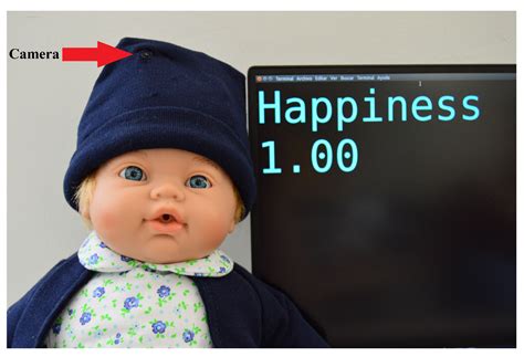 Smart Doll: Emotion Recognition Using Embedded Deep Learning