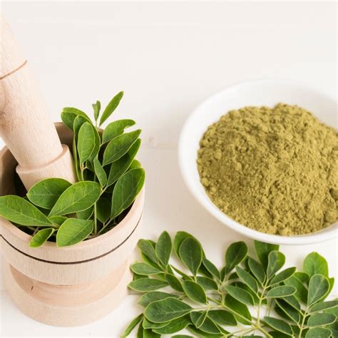 Benefits of Drumstick/ Moringa, side effects, how to use – Hollywood ...