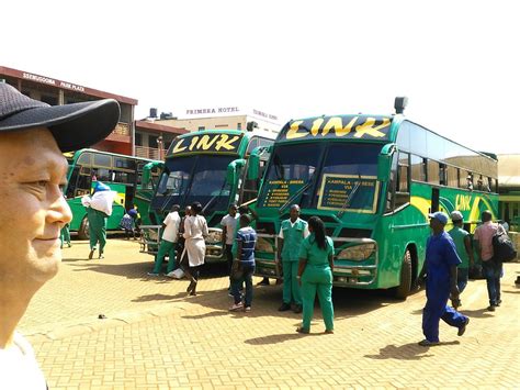 LINK BUS SERVICES (2026) All You Need to Know BEFORE You Go (with ...