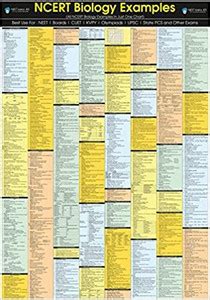 NCERT Biology Chart | 25 x 36 inch | LAMINATED | 2022 Edition Canvas ...