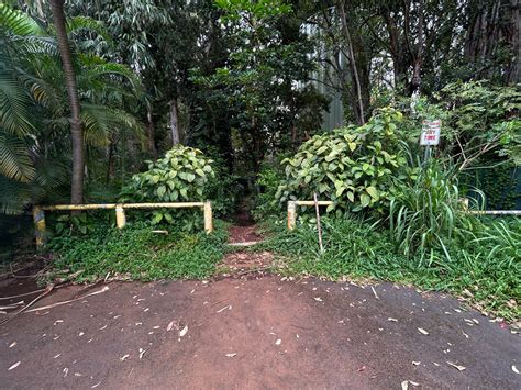 Hiking the Wahiawā Hills Trail on Oʻahu — noahawaii