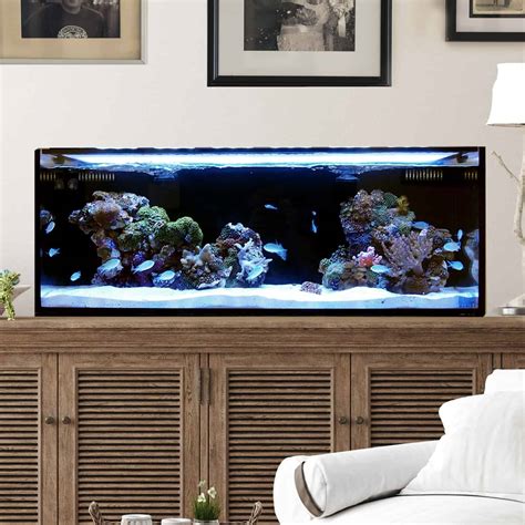 The Best 30 Gallon Fish Tanks & Aquariums For The Money 2022