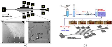 Recent Advances of PDMS In Vitro Biomodels for Flow Visualizations and ...