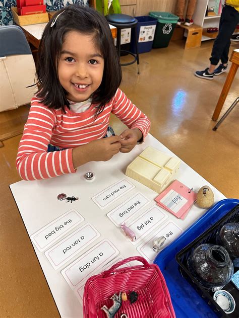 Image result for Origin of Language Evolution