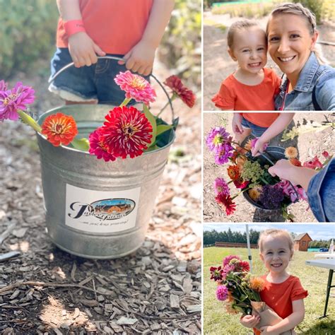 Pick Your Own Flowers at Parlee Farms in Tynsgborough, MA