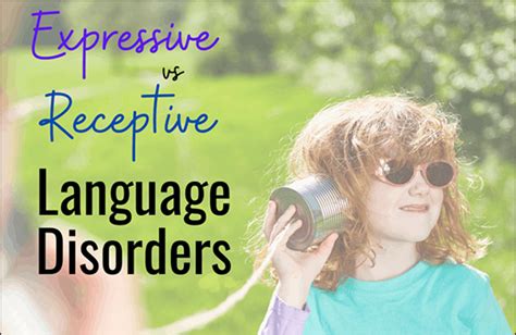 Image result for Mixed Expressive Receptive Language