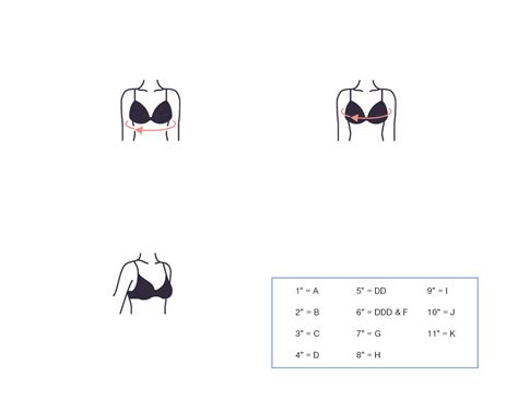 Bra Size Comparison Chart