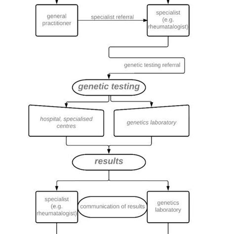 Genetic Testing Procedure 的图像结果