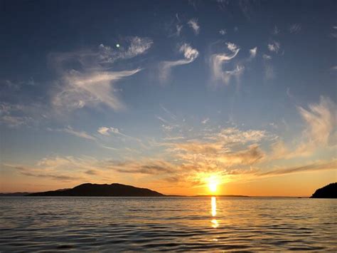 Dragonfly Kayak Tours (Bellingham) - 2021 What to Know Before You Go ...