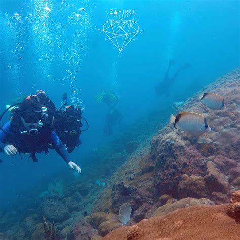 ZAFIRO DIVERS - All You Need to Know BEFORE You Go 2026 (with Photos ...