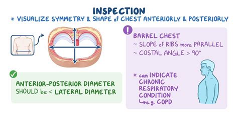Assessment of Thorax and Lungs - Osmosis Video Library