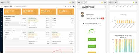 Whole Game System Referee Reporting 的图像结果