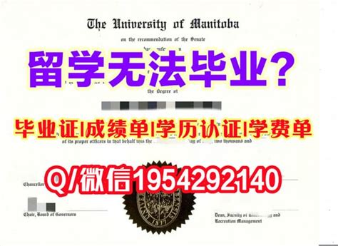 《卧龙岗大学毕业证学位证书靠谱制作》