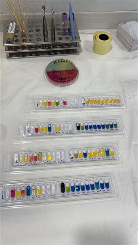 Image result for API 20E Booklet