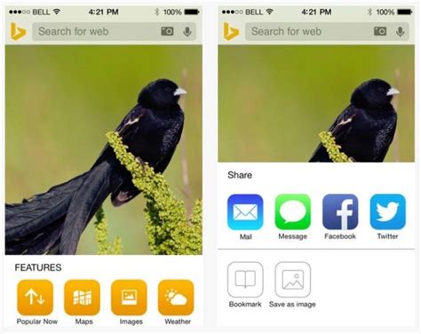 Bing iOS App Logo 的图像结果