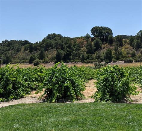 RED SOLES WINERY (2026) All You Need to Know BEFORE You Go (with Photos ...